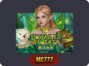 Enchanted Forest